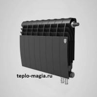 Биметаллический радиатор нижнее подключение Royal Thermo BiLiner 350 VD - 12 секц. Noir Sable
